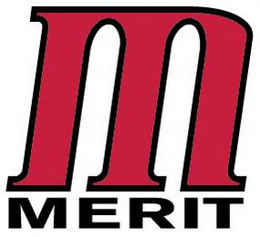 M MERIT logo