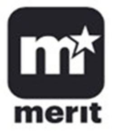 M MERIT logo