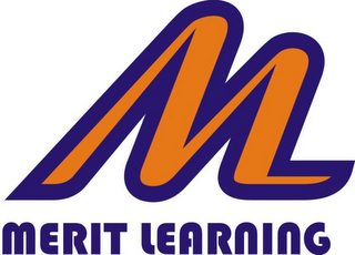 M MERIT LEARNING logo