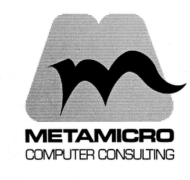 M METAMICRO COMPUTER CONSULTING logo