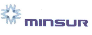 M MINSUR logo