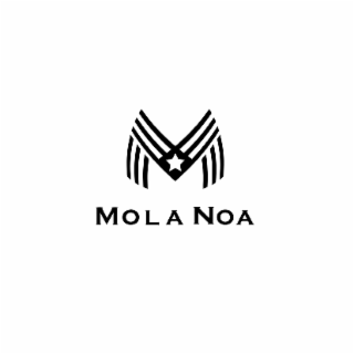 M MOLA NOA logo