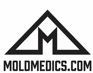 M MOLDMEDICS.COM logo