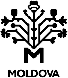 M MOLDOVA logo