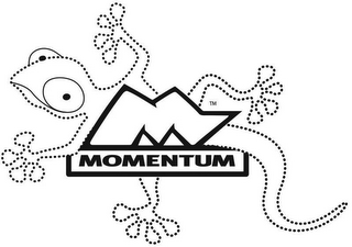 M MOMENTUM logo