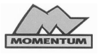 M MOMENTUM logo