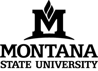 M MONTANA STATE UNIVERSITY logo