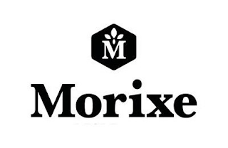 M MORIXE logo