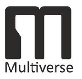 M MULTIVERSE logo