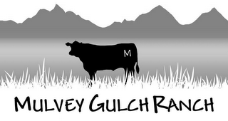M MULVEY GULCH RANCH logo
