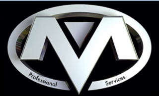 M PROFESSIONAL SERVICES logo