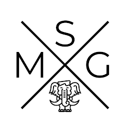 M S G logo
