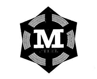 M STEEL logo