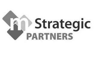 M STRATEGIC PARTNERS logo