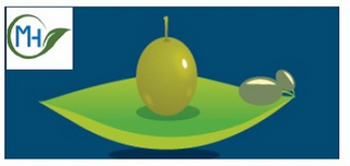 M T logo
