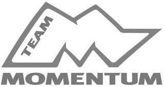 M TEAM MOMENTUM logo
