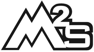 M2S logo