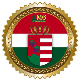 M6 INTERNATIONAL logo