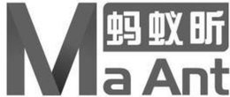 MA ANT logo