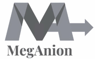 MA MEGANION logo