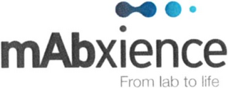 MABXIENCE FROM LAB TO LIFE logo