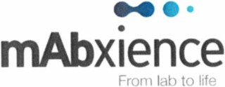 MABXIENCE FROM LAB TO LIFE logo