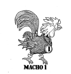 MACHO 1 1 logo