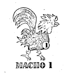 MACHO 1 logo