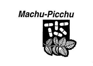 MACHU-PICCHU logo