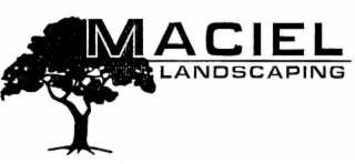 MACIEL LANDSCAPING logo