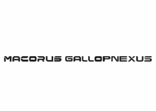 MACORUS GALLOPNEXUS logo