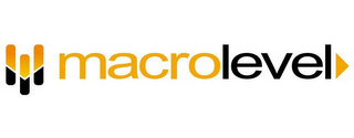 MACROLEVEL logo