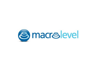 MACROLEVEL logo