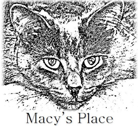 MACY'S PLACE logo