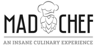 MAD CHEF AN INSANE CULINARY EXPERIENCE logo