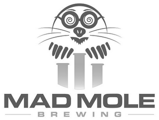 MAD MOLE BREWING logo