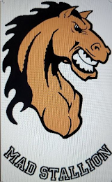 MAD STALLION logo