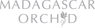 MADAGASCAR ORCHID logo