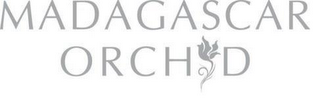 MADAGASCAR ORCHID logo