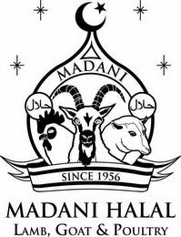 MADANI SINCE 1956 MADANI HALAL LAMB, GOAT & POULTRY logo
