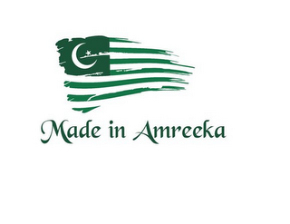 MADE IN AMREEKA logo