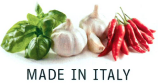 MADE IN ITALY logo