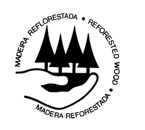 MADEIRA REFLORESTADA - REFORESTED WOOD - MADERA REFORESTADA logo