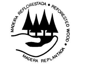 MADEIRA REFLORESTADA - REFORESTED WOOD - MADERA REPLANTADA logo