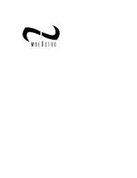 MAE8STRO logo