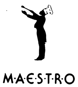 M.A.E.S.T.R.O logo