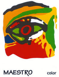 MAESTRO COLOR logo