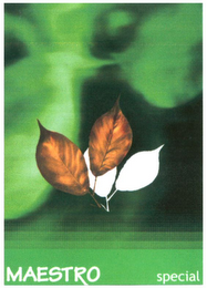 MAESTRO SPECIAL logo