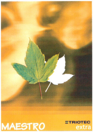 MAESTRO TRIOTEC EXTRA logo
