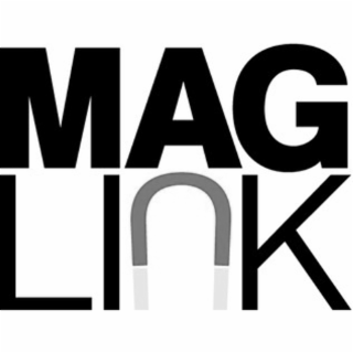 MAG LINK logo